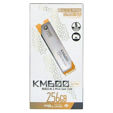 AITC 艾格 KINGSMAN SSD 固態硬碟, KM600 ULTRA M.2 2280 PCIe, 256GB, 1個