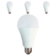 Dooyoung Lighting LED 高點球泡燈 20W 4p, 黃光色, 1個