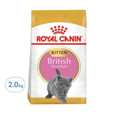 ROYAL CANIN 法國皇家 皇家FBN 英國短毛幼貓乾飼料 BSK38, 2kg, 1袋