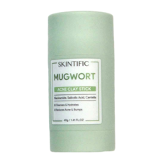 SKINTIFIC Mugwort Pore Purifying Clay Mask Stick 40g, 1 can