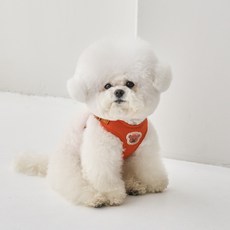 本尼的小狗一觸式胸背帶, 橘色