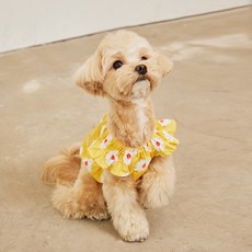 Bennys 寵物花朵圖案連身裙, 黃色