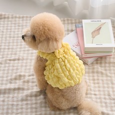 本尼的小狗泡泡糖上衣, 黃色