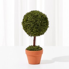 SCANDIAMOSS 室內空氣淨化器 Mini Tree Planter Moss Green, 1個