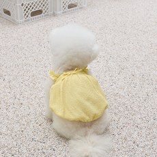 Benny's Puppy Sally 上衣 T 卹, 黃色
