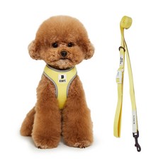 Bennys 寵物胸背帶+牽繩 1.5m, 黃色