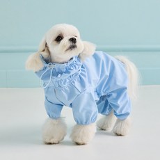 本尼的寵物一體式雨衣, 天藍色
