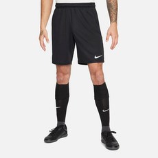 Nike 男款 PARK DRY FIT 20 短褲