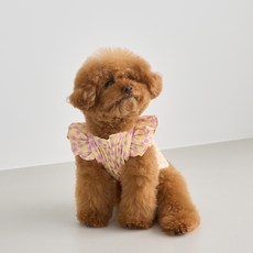 Benny's Puppy Melody 短款上衣, 黃色
