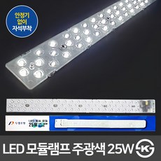 DOOYOUNG 固定式LED燈具吊燈, 白光